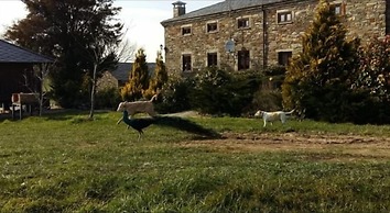Casa Rural O Ventorrillo