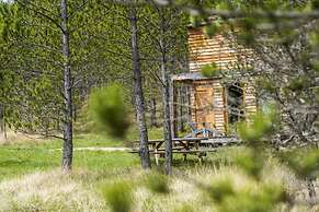 Terre des Baronnies. Cabanes