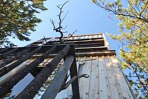 Terre des Baronnies. Cabanes