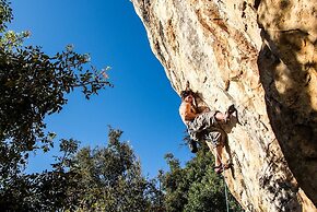Terre des Baronnies. Cabanes