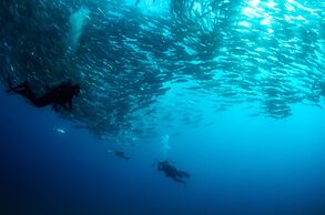 Four Seasons Resort Los Cabos at Costa Palmas