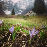 Agriturismo Pian Dei Tass