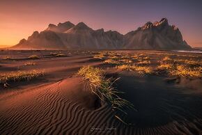 Viking Café Guesthouse