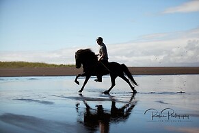 Viking Café Guesthouse