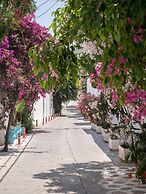 Terra Fos Naxos Studios