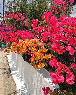 Dedalos Studios Naxos