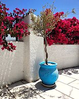 Dedalos Studios Naxos