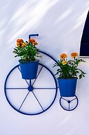 Dedalos Studios Naxos