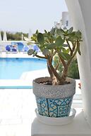 Dedalos Studios Naxos