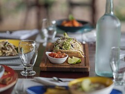 Los Vivos Beachfront Experience