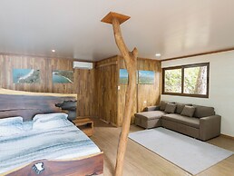 Los Vivos Beachfront Experience