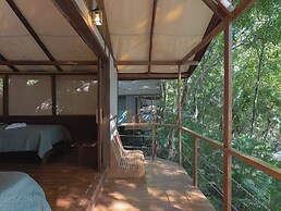 Los Vivos Beachfront Experience