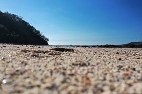 Los Vivos Beachfront Experience