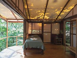 Los Vivos Beachfront Experience