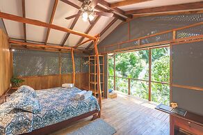 Los Vivos Beachfront Experience