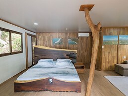 Los Vivos Beachfront Experience