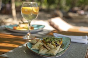 Los Vivos Beachfront Experience