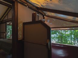 Los Vivos Beachfront Experience