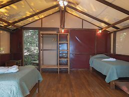 Los Vivos Beachfront Experience