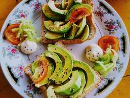 Malika's Yellow House