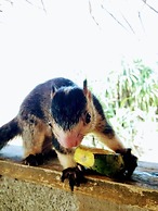 Malika's Yellow House