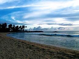 Malika's Yellow House