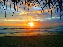 Malika's Yellow House