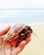 Malika's Yellow House