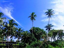 Malika's Yellow House