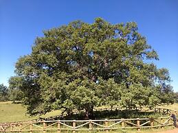 Hotel Villa de Berzocana