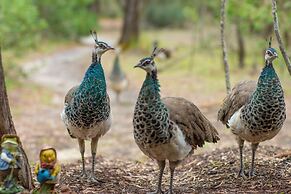 Kerriley Park Farm Stay