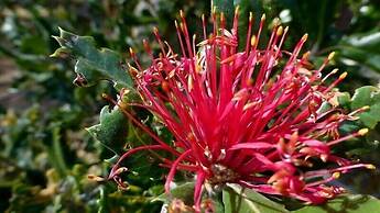 Kerriley Park Farm Stay