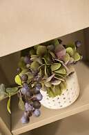 Locals Sukhumvit ThongLor Vtara 36