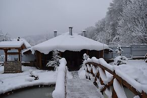 Ryabinovie Busy Guest House