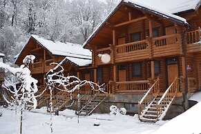 Ryabinovie Busy Guest House
