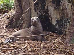 Kepplestone by the Sea