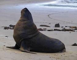 Kepplestone by the Sea