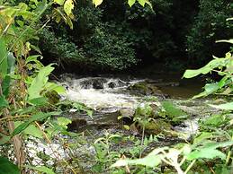 Koi Koi Cultural Village Hotel