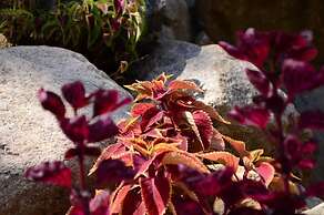 Koi Koi Cultural Village Hotel