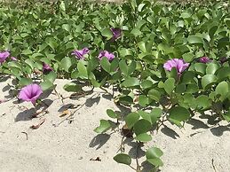 Villa Kelapa Langkawi