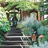 Hotel Restaurant Adler