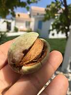 Il Borghetto Resort & Spa