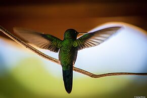 Pousada Valle das Flores