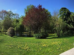 Les Arbres Rouges