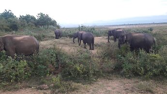 Nature Park Udawalawe