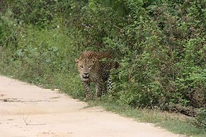 Nature Park Udawalawe