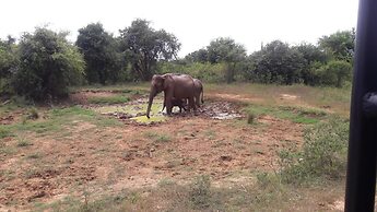 Nature Park Udawalawe