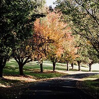 The Drawing Rooms of Berry