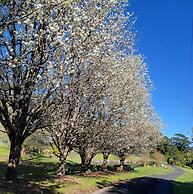 The Drawing Rooms of Berry