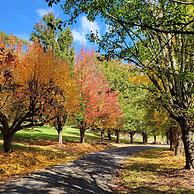 The Drawing Rooms of Berry